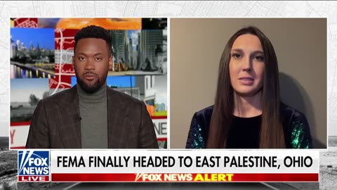 Leaders trying to brush disaster 'under the rug' East Palestine resident