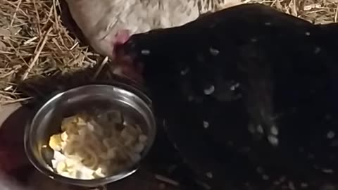 Two mothers, one child!