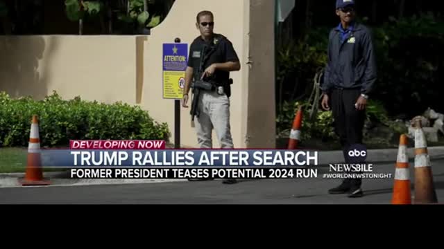 Why is it that everyone loved Trump before he became president