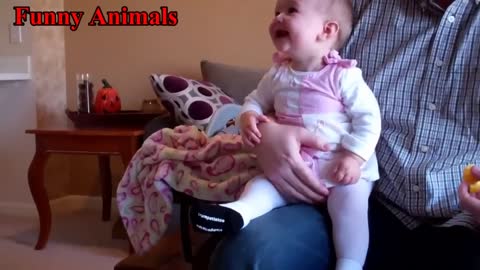 Italian Greyhound Dog Play With Baby videos - Dog Loves Baby - Funny Dogs Compilation