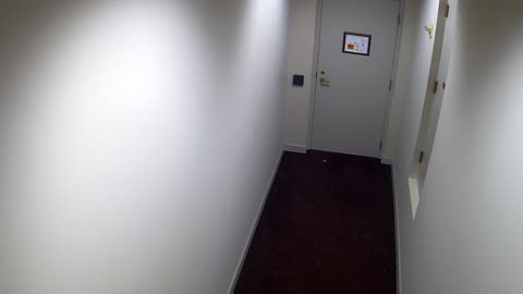 7019CVCSLHallnearStair13-HVC303_2021-01-06_01h00min00s427ms.mp4