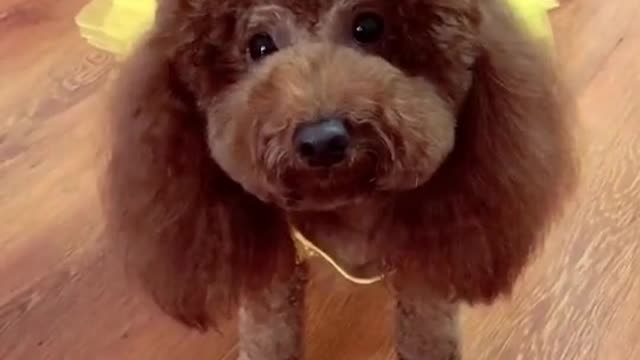you are so cute