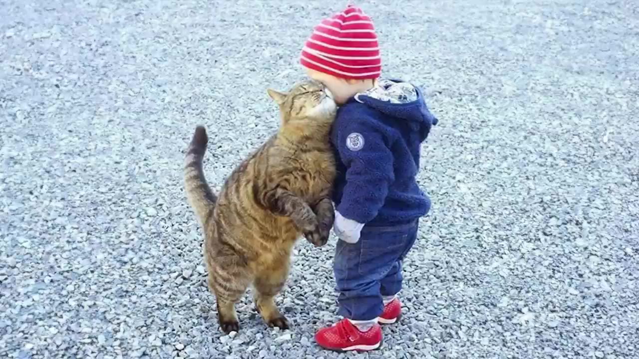 When you are my one and only special friend👶❤️🐱Cute Cats and Human