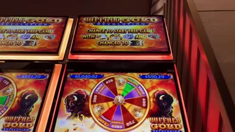 BUFFALO Slot Machine Winning in LAS VEGAS - Recorded LIVE in a Casino