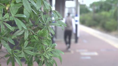 platform 2 raw