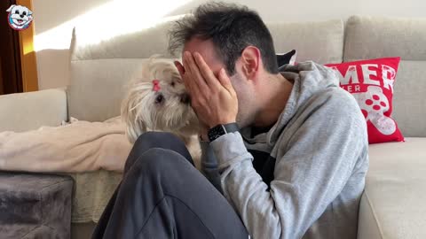 LLORO delante de mi Perro ¡REACCIÓN! Anima Dogs