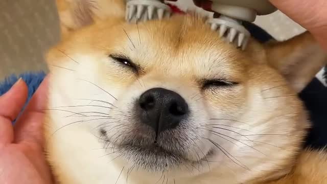 Boss ~ can you add 15 minutes?| learned to enjoy