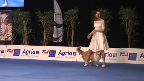 Dog Dancing World Championship 2022, Anastasiia Beaumont and border collie Yuki