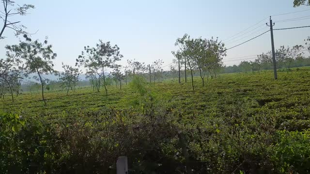 Natural scenery in village...