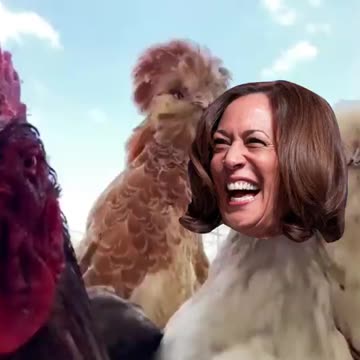 CHICKEN-MALA HARRIS!! 😂🤣🤣🤣 #ChickenMalaHarris