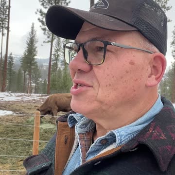 Good Morning from McKenzie Mountain 11-27-24