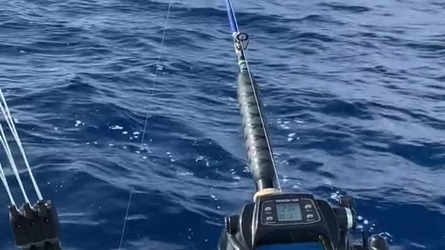 What do you think about fishing deep with electric reels?