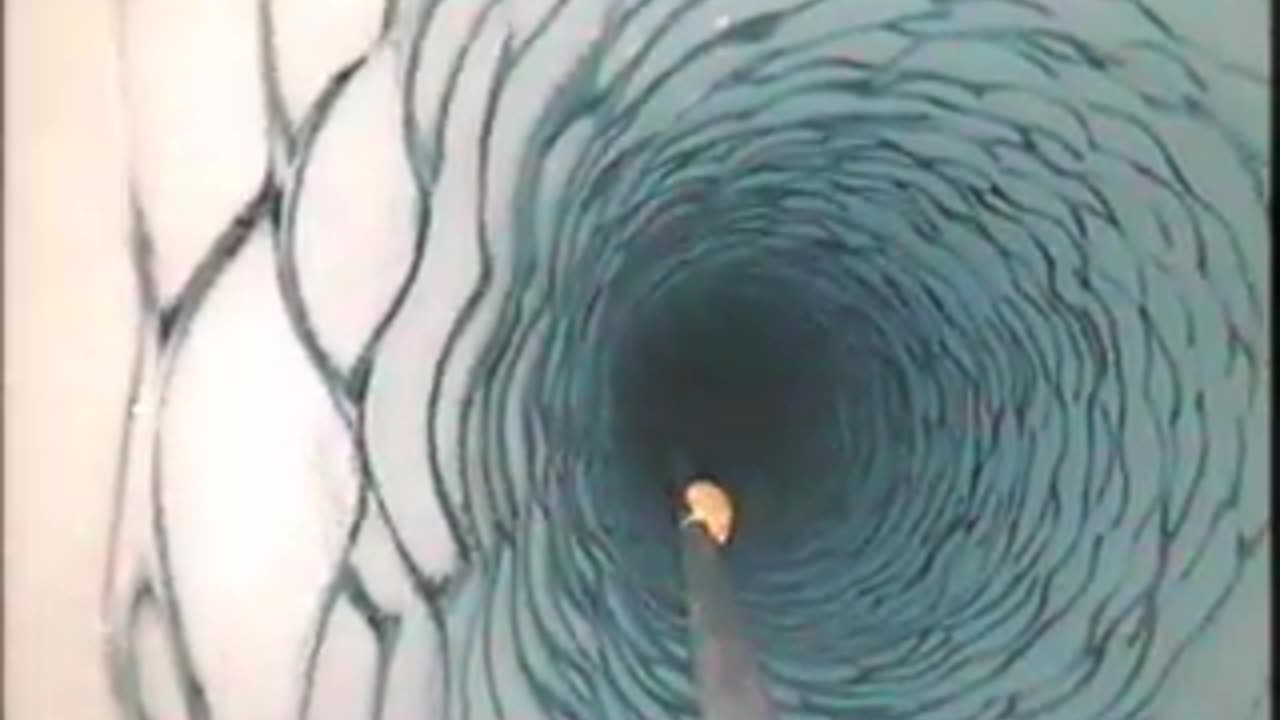 NASA Rare Clip