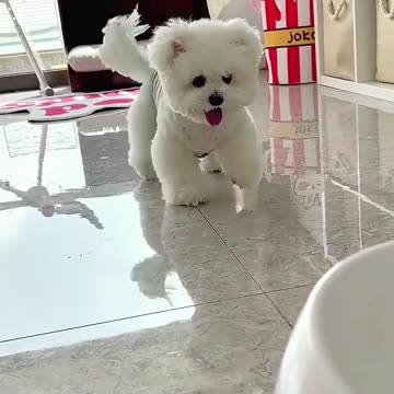 Have fun by yourself.