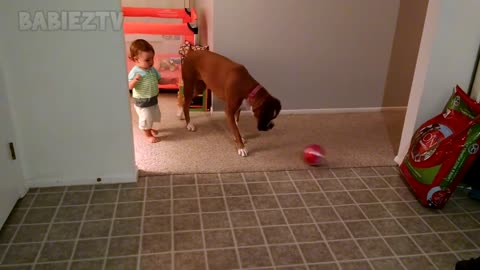 Babies Playing With Dogs and Cats