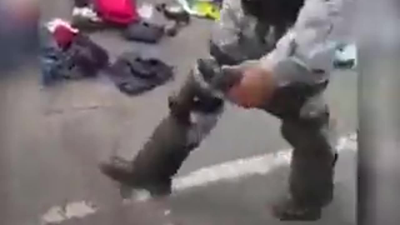 8 - janeiro : infiltrados do PT