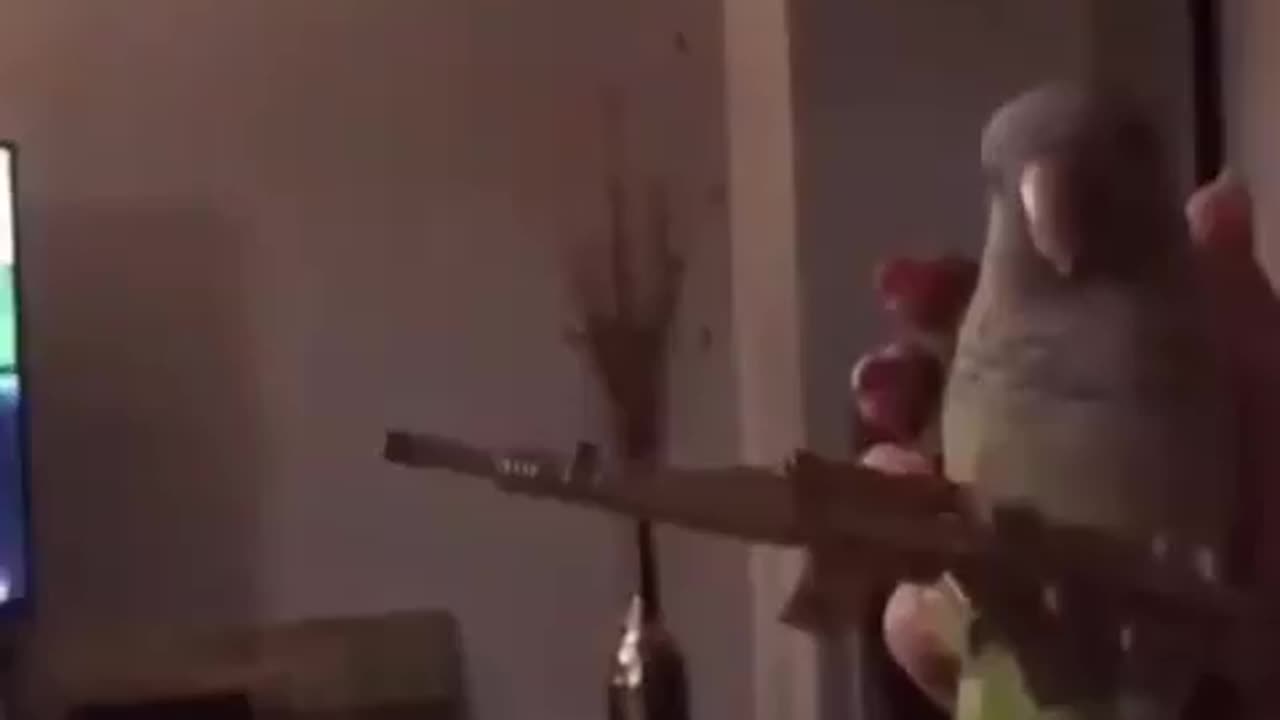 2A Bird