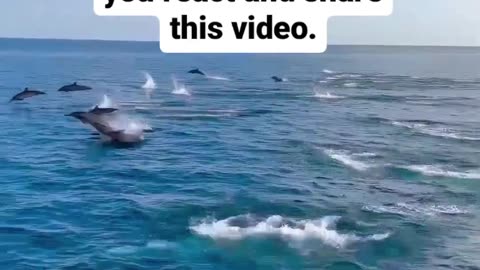 Follow Type "YES" . . . . .