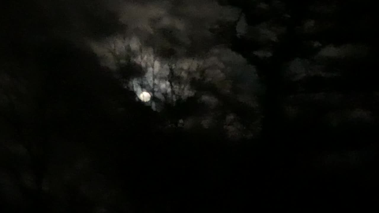 Creepy moon