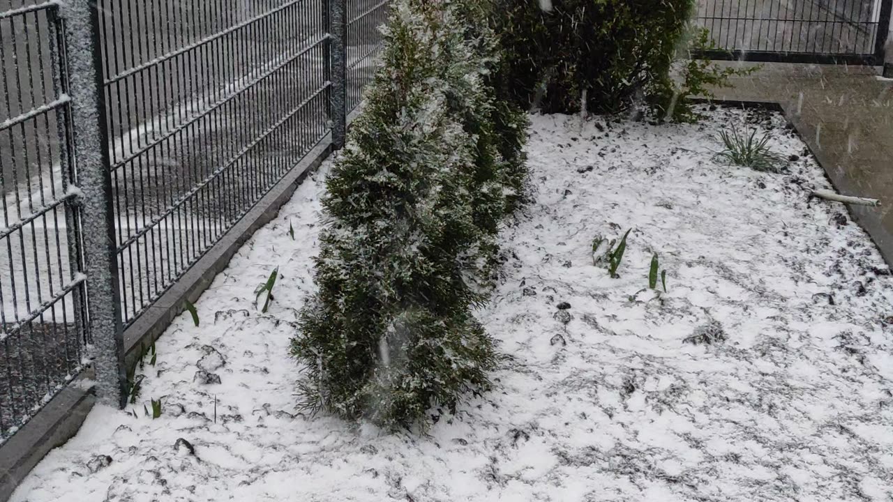 Winter is back again