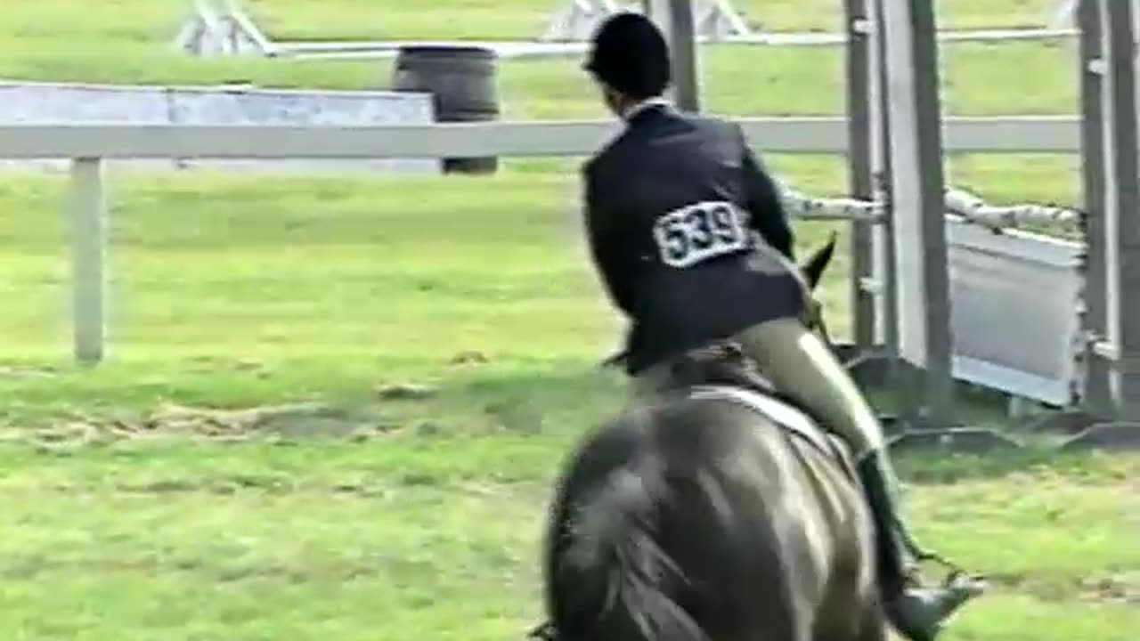 Tracy Horse Show
