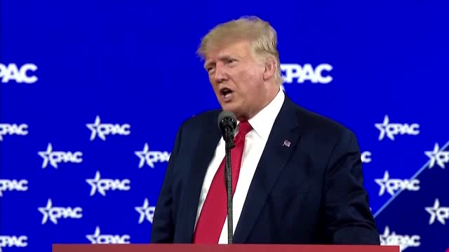 Trump on Biden and NATO: "Our leaders are dumb"