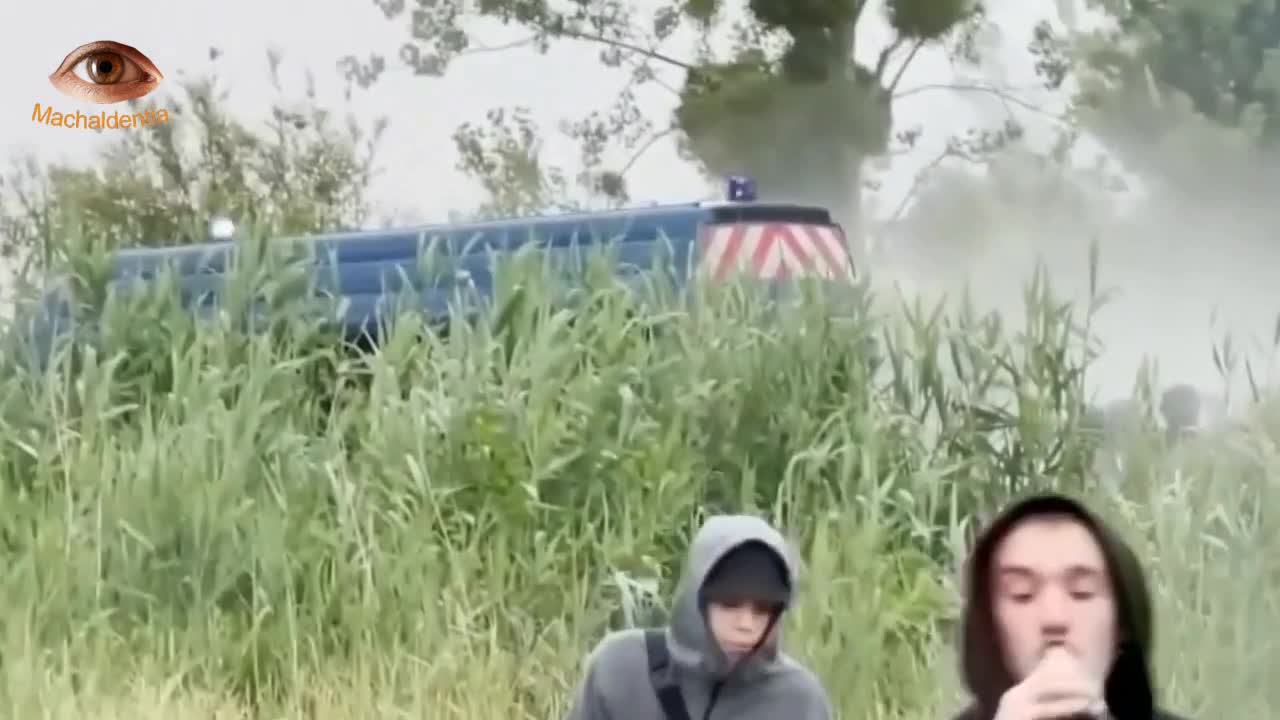 Machaldentia Vaneccac