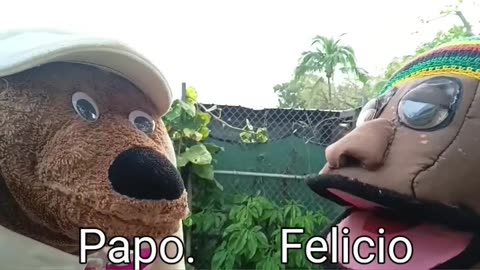 Papo y Felicio