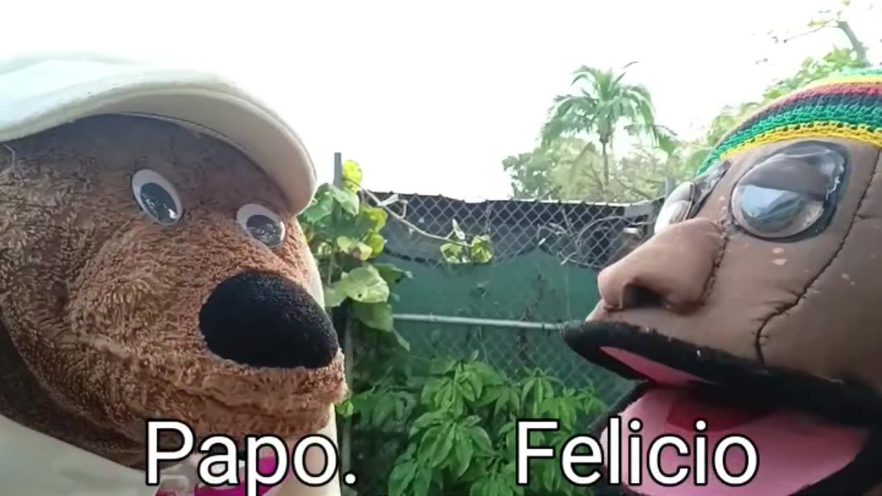 Papo y Felicio