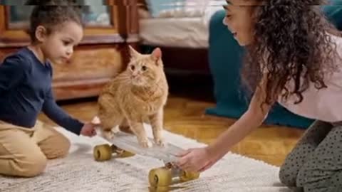 Kids Playing With Their Cat On A Skateboard