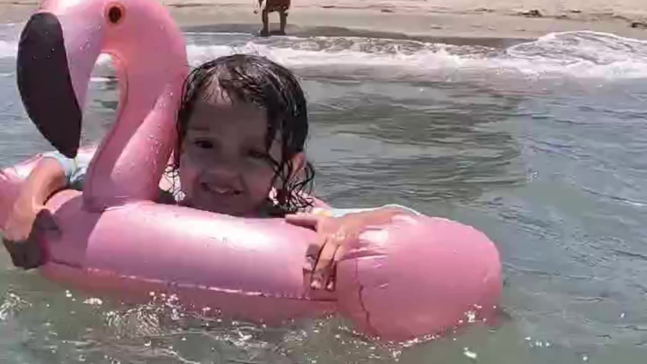 Beach Day Cheeky Riding the Waves on Her Pink Flamingo Floaty