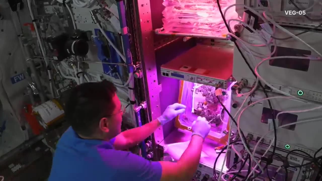 NASA Astronaut Frank Rubio: A Year of Science in Space | NASA Video