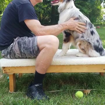 It's all in the game of Fetch part 4 cut 4