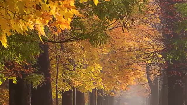 It is a beautiful scene to take a picture with you. Cherish the beauty of nature