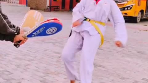 Taekwondo kicks