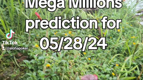 Mega Millions prediction 05 27 24