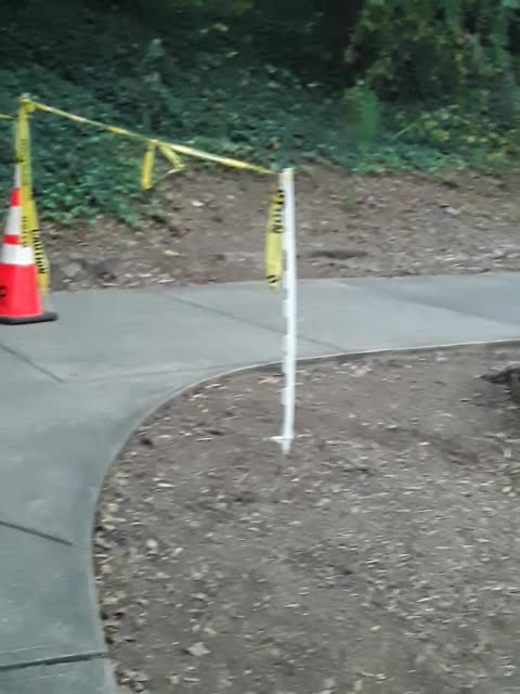 All Caution Tape Happy