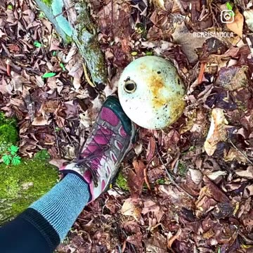 FOUND TREASURE! Sort of