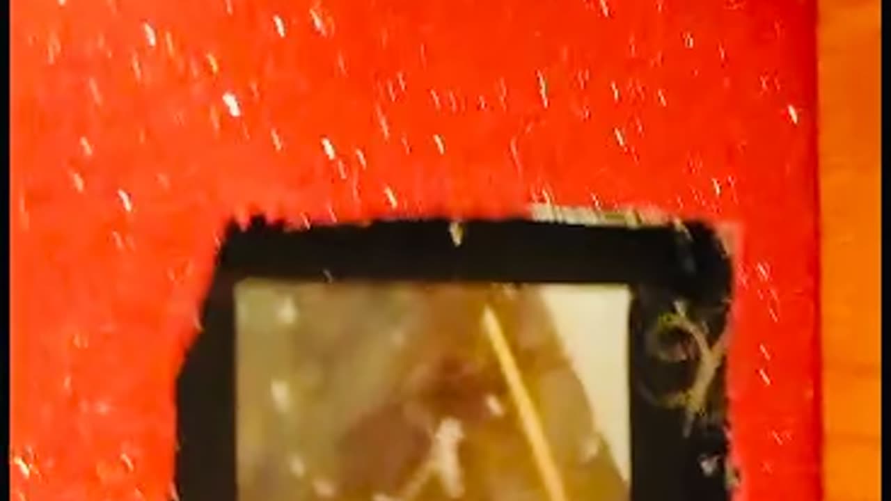 Interior Desigining Room Design