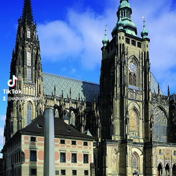 THE INSECTNOIDS TERMINTES CREATIONS