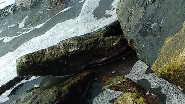 Sea shore