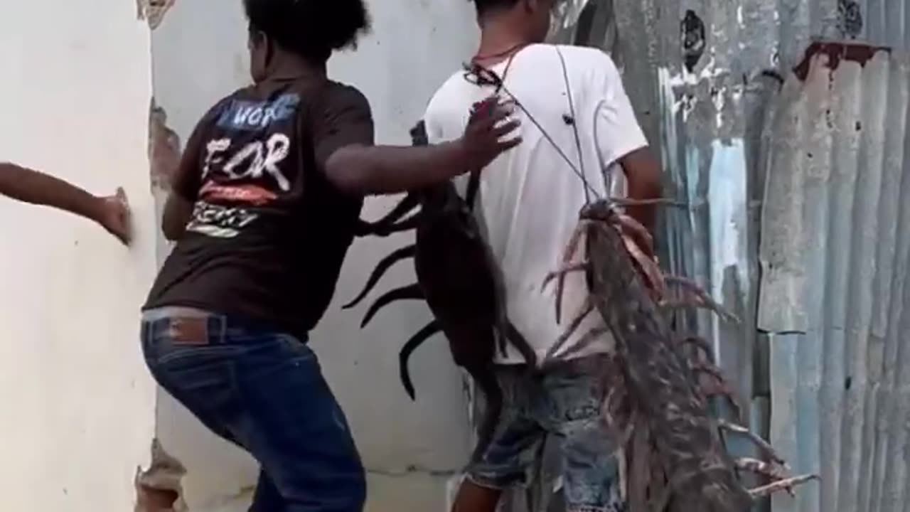 Funny prank video
