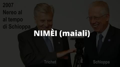 NIMÈI (maiali)