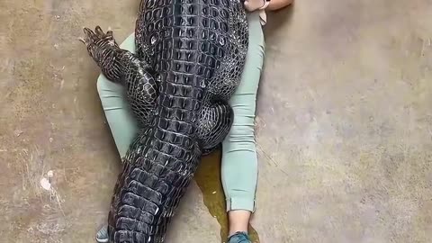 What animals teach us ❤️