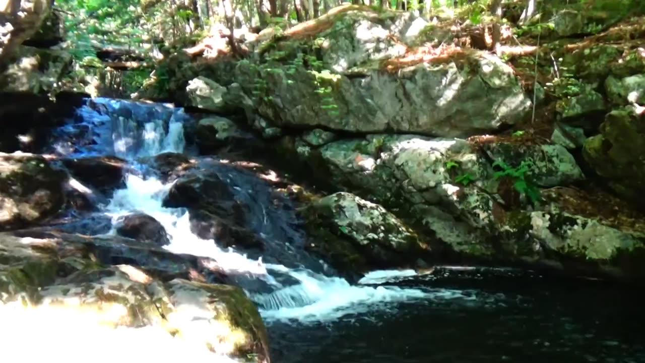 Roaring Falls