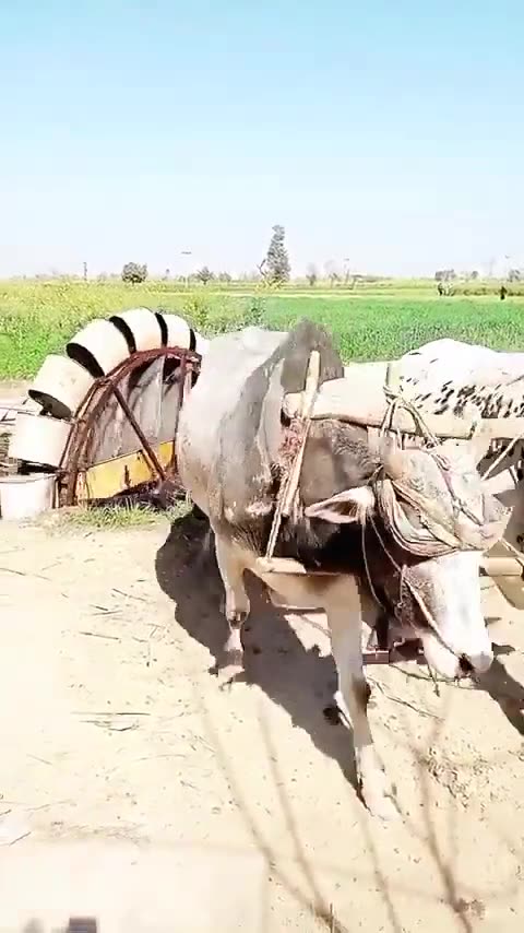 Purani yadain Purana zamana