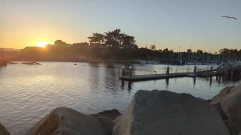 Santa Cruz Harbor Sunset