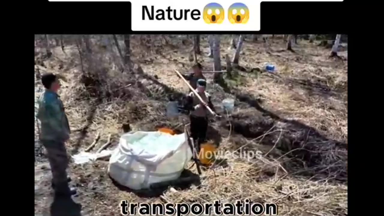 Different perspective