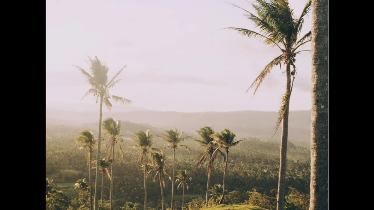 Feel this view of nature in which peaceful wind and beautiful peaceful song 🌿