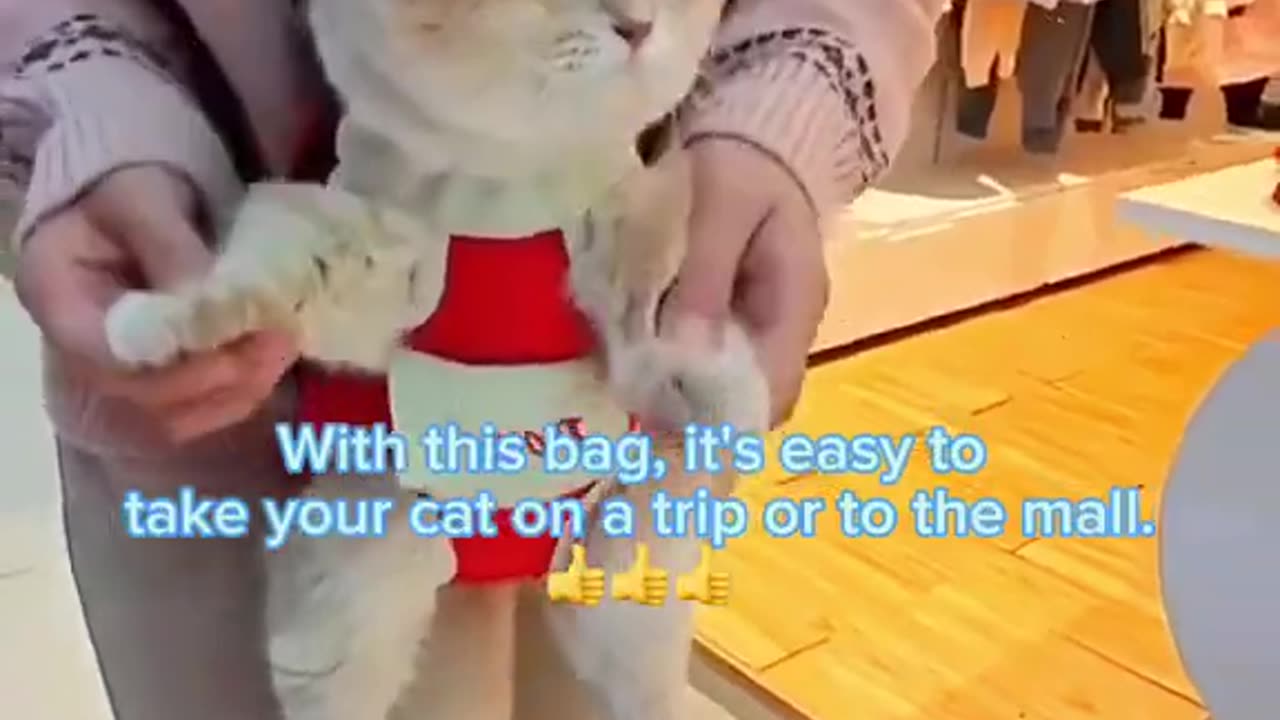 Take your pet to the mall or on a trip with this backpack to free your hands